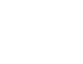 Dominos Pizza Logo