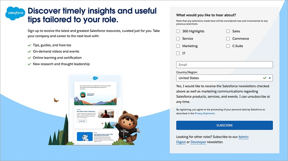 Salesforce subscriptions screenshot: