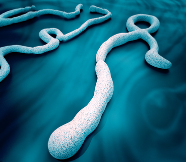 ebola